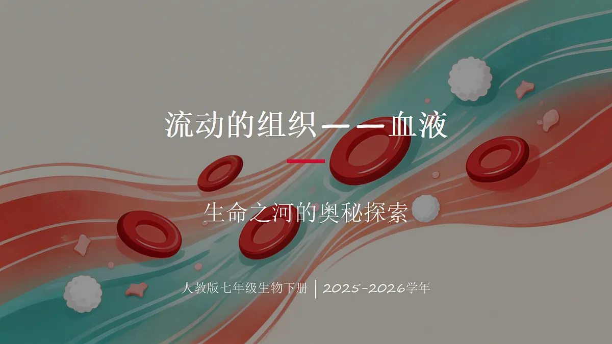 18337772第1页