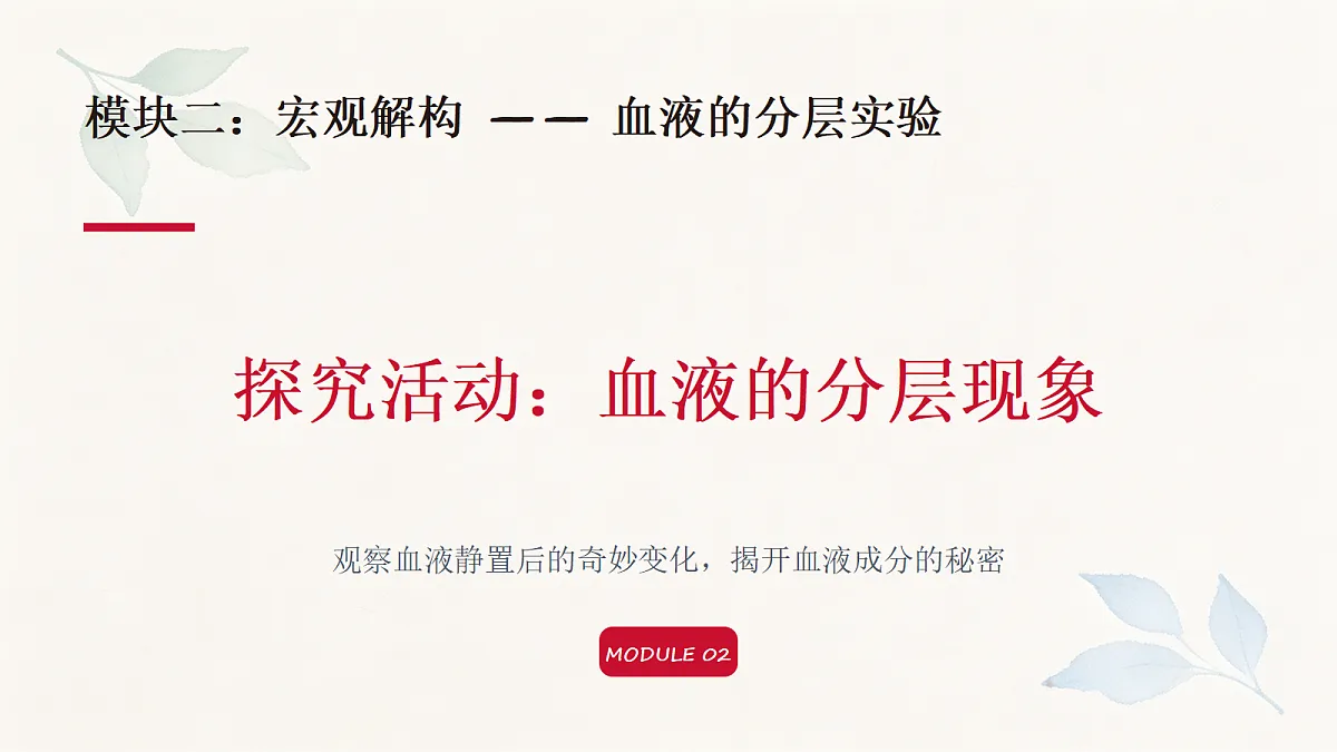 18337772第5页