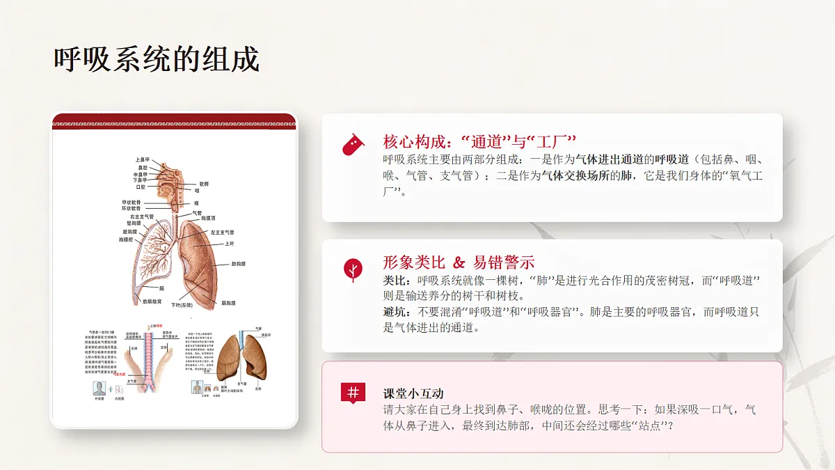 18337774第4页