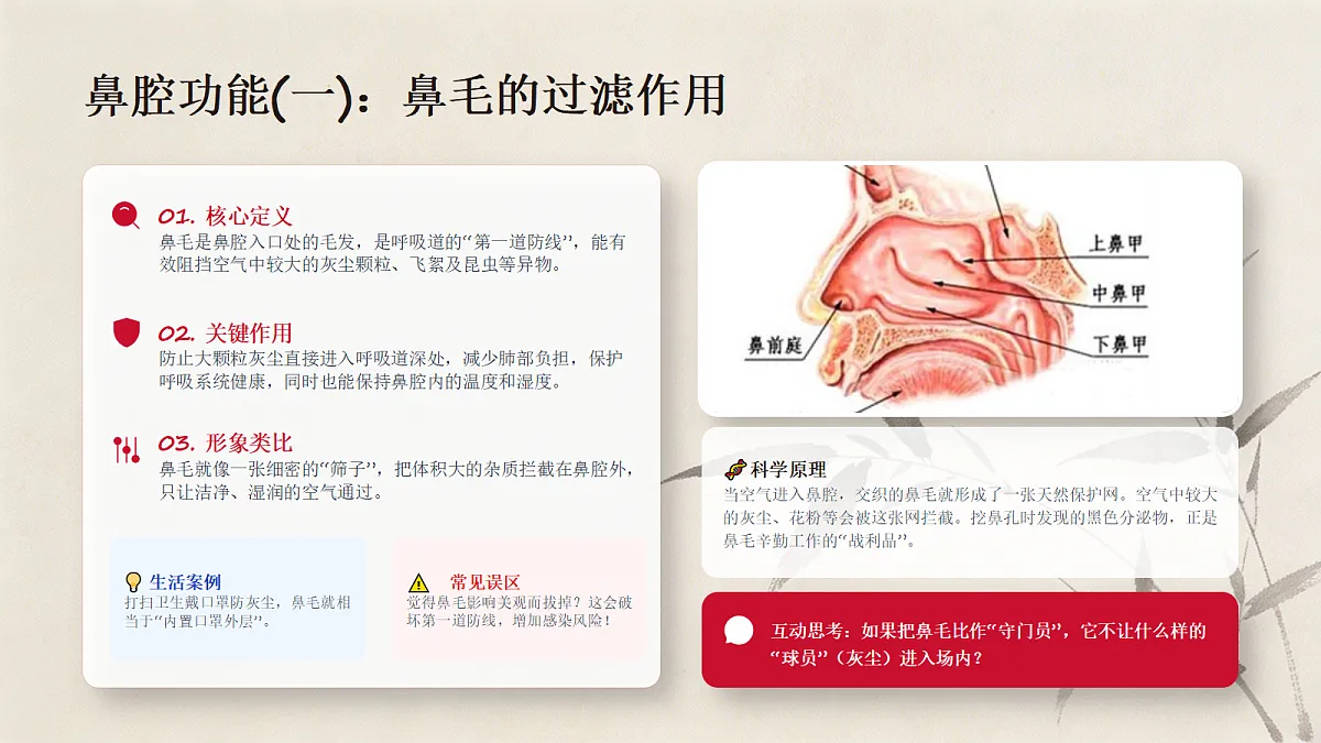 18337774第8页