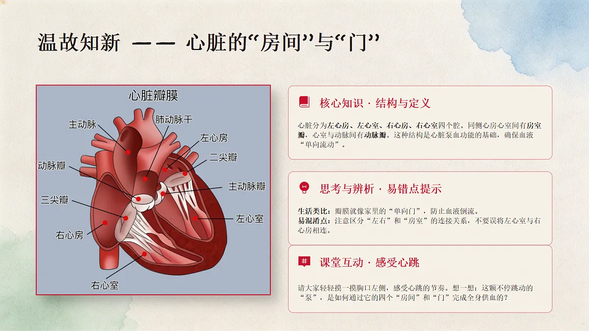 18337776第3页