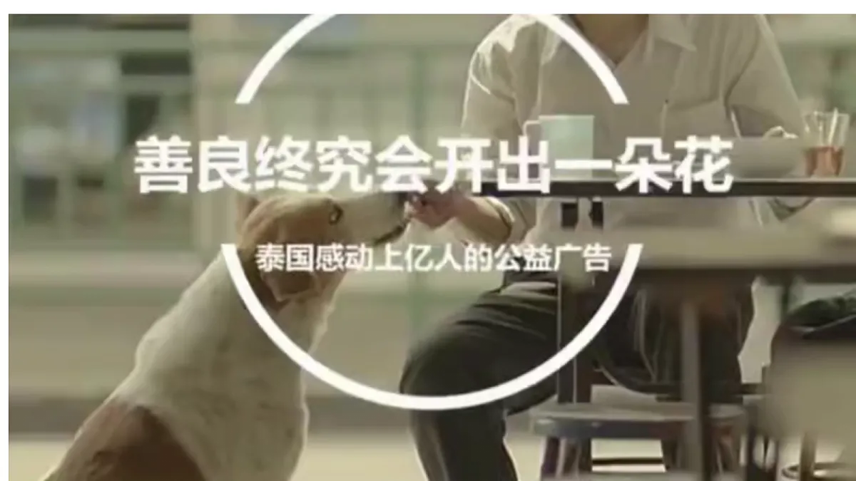18338108第1页