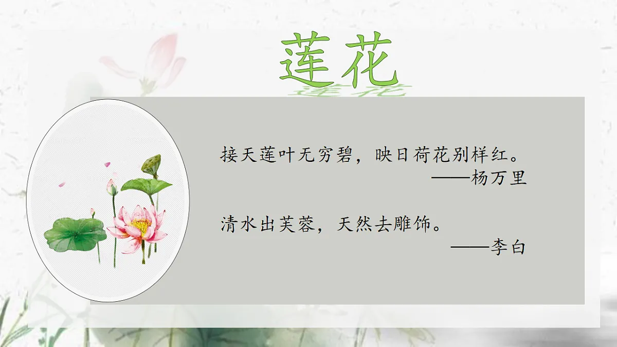 18338109第2页