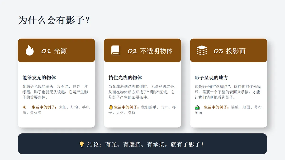 18338555第3页
