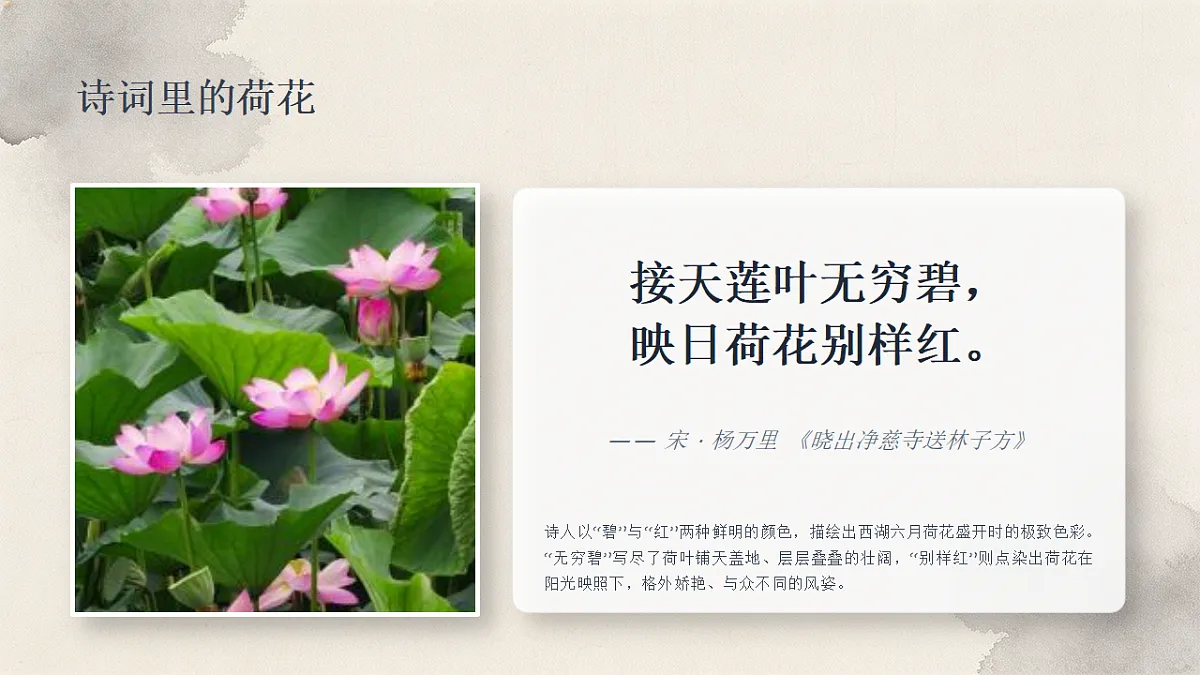 18338563第2页