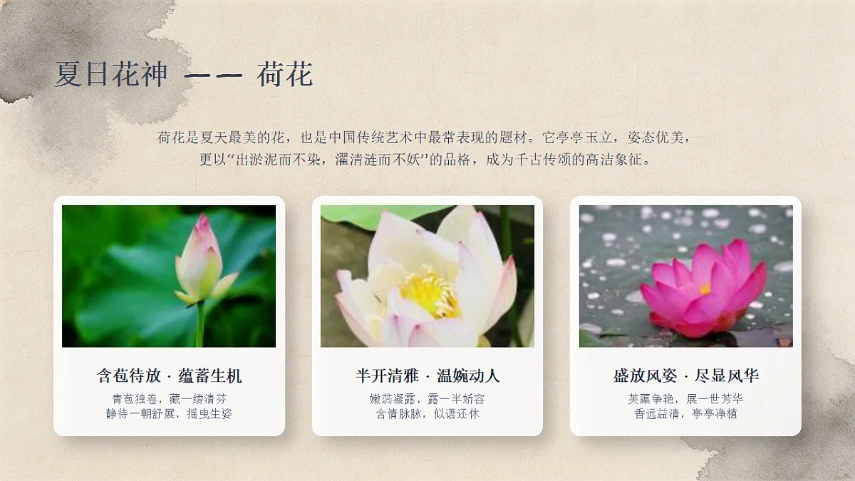 18338563第4页