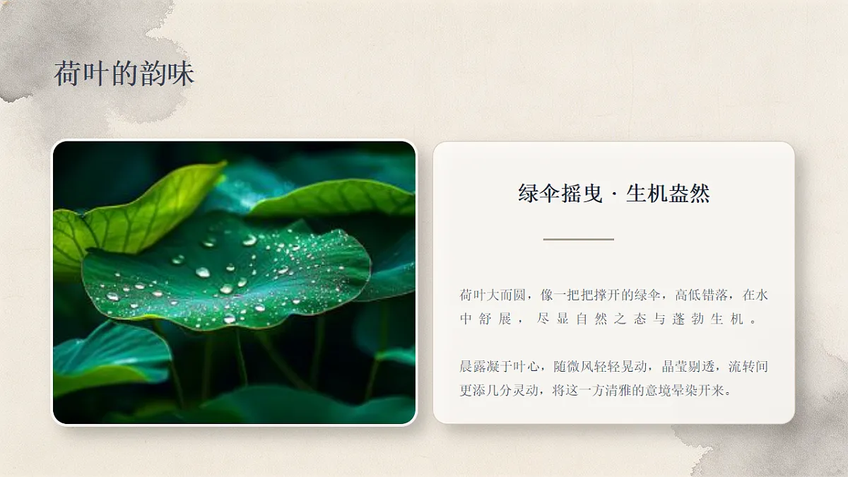 18338563第5页
