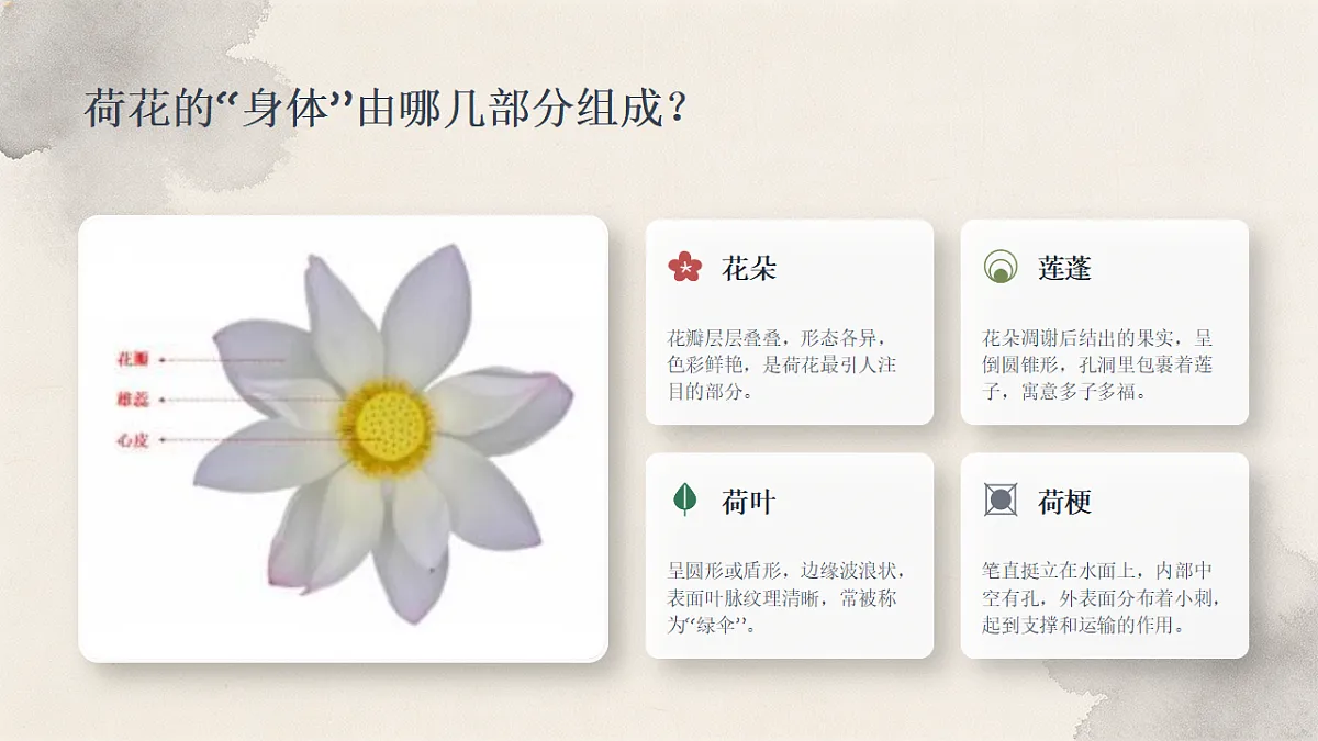 18338563第7页