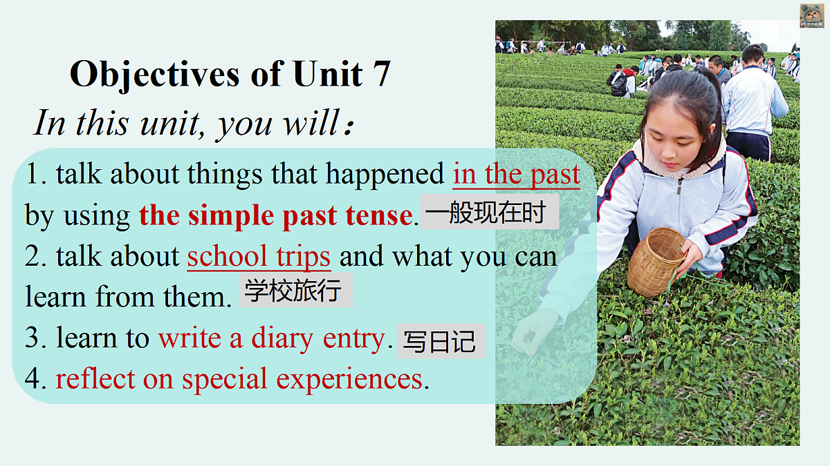 18339156第2页