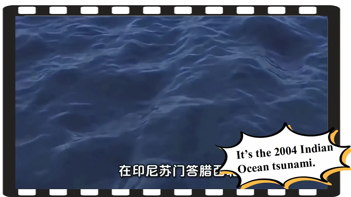 18339167第4页