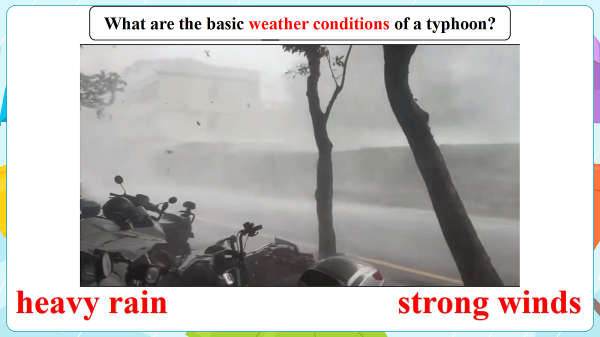18339172第5页