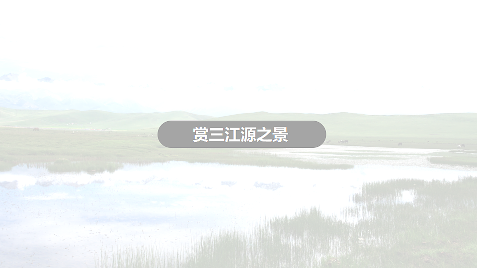 18339181第4页