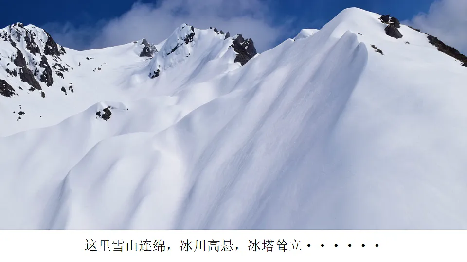 18339181第5页