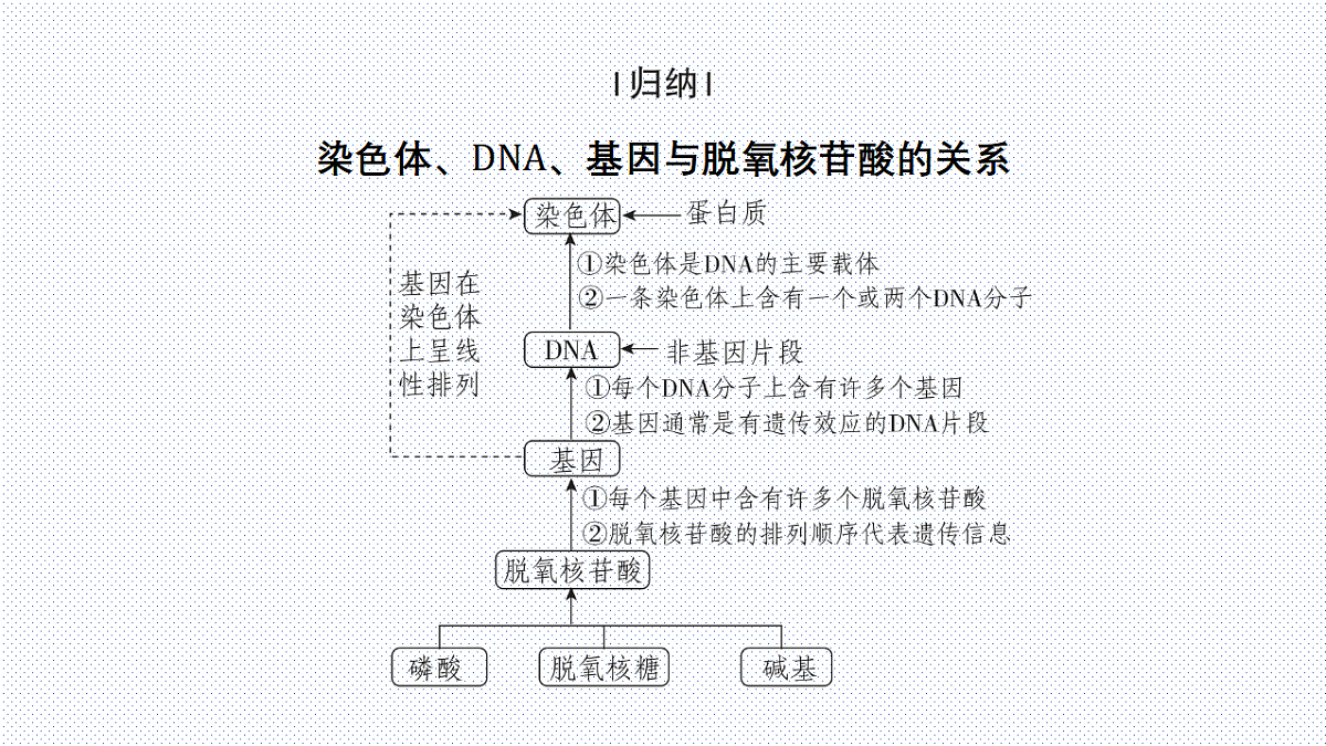 18339911第6页