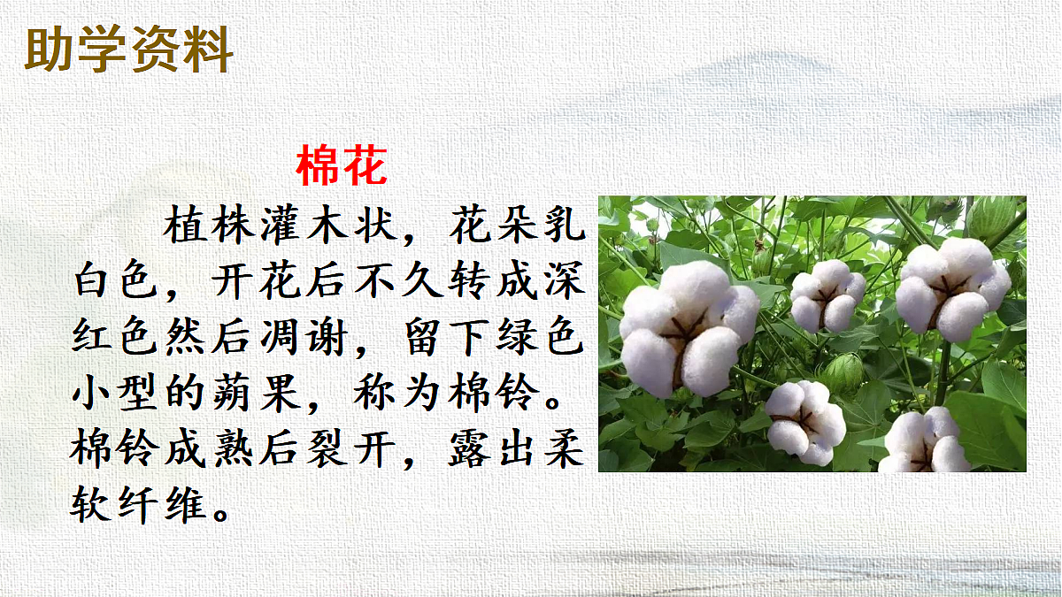 18341123第4页