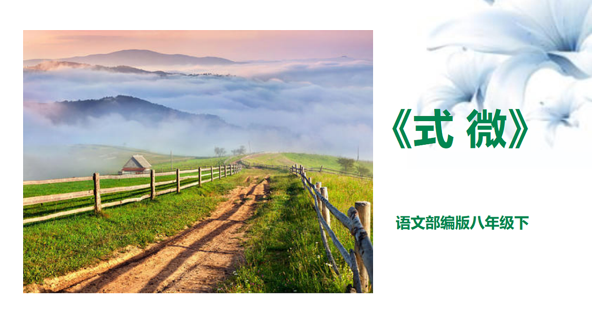 18343151第1页
