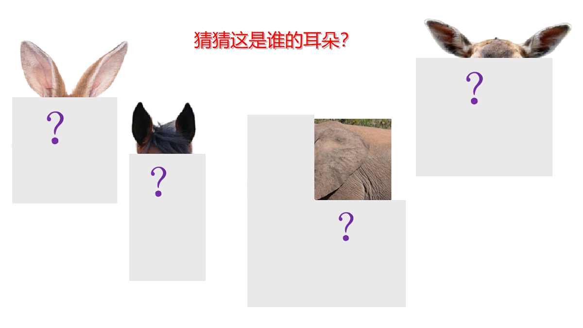 18343307第3页