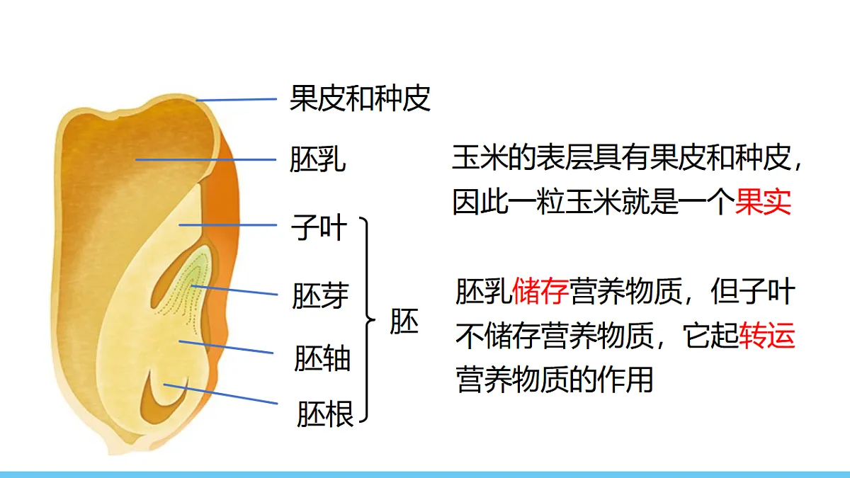 18343832第7页