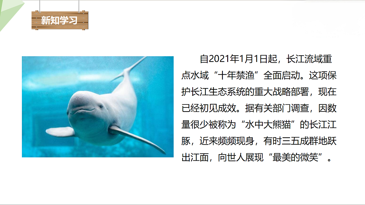 18343836第2页