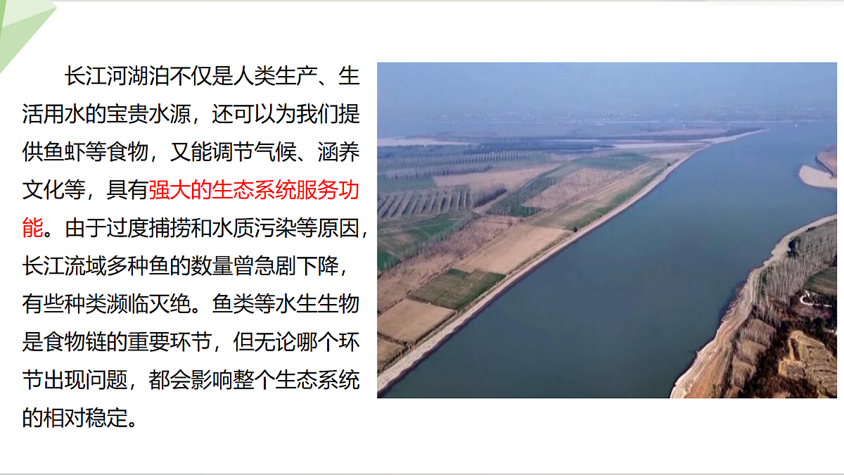 18343836第4页