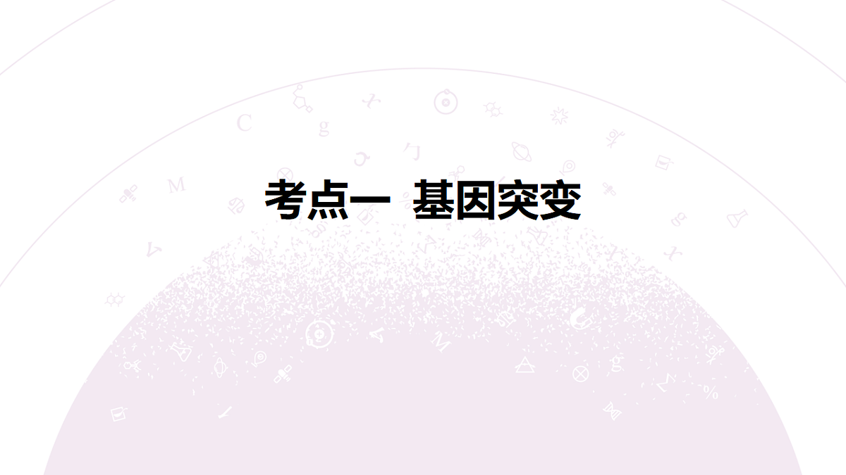 18344029第6页