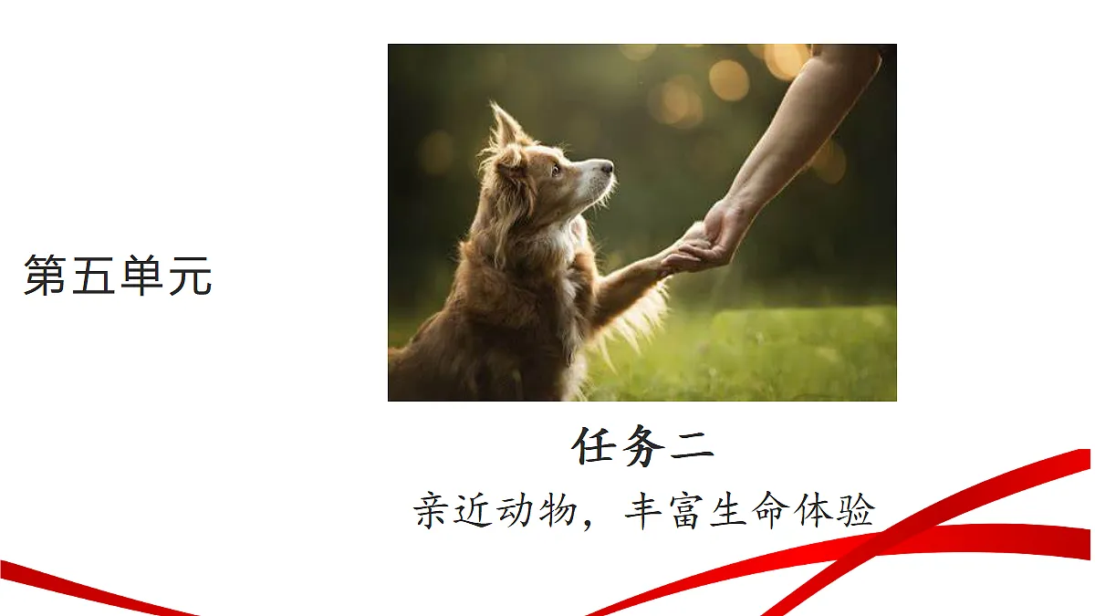 18346353第1页