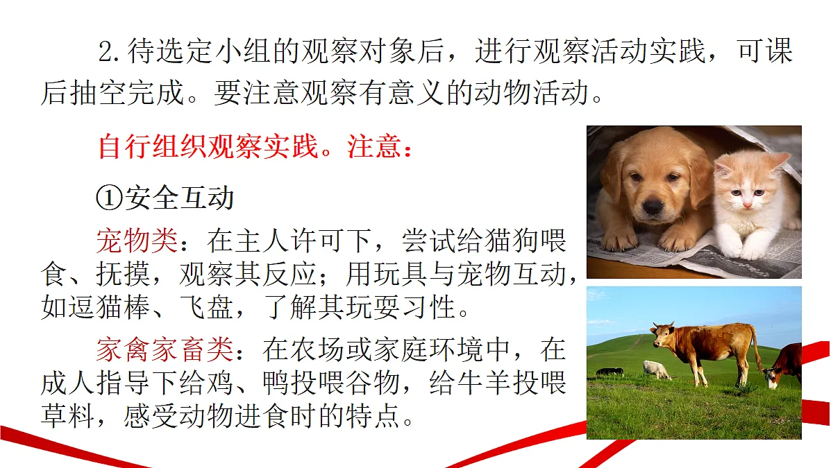 18346353第7页