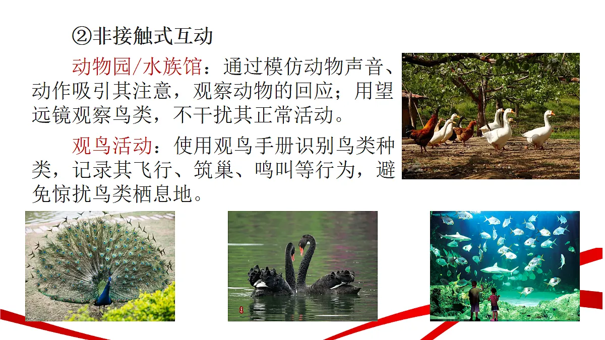 18346353第8页