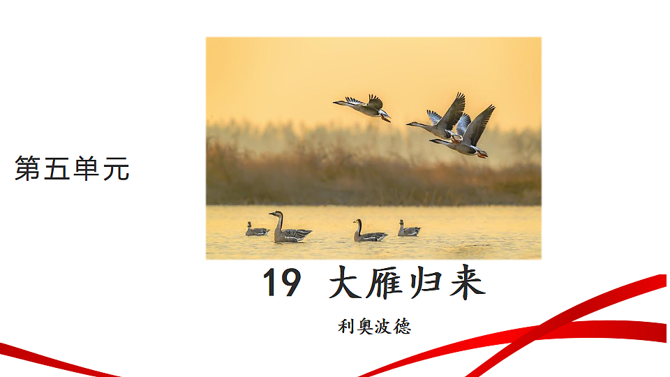 18346617第1页