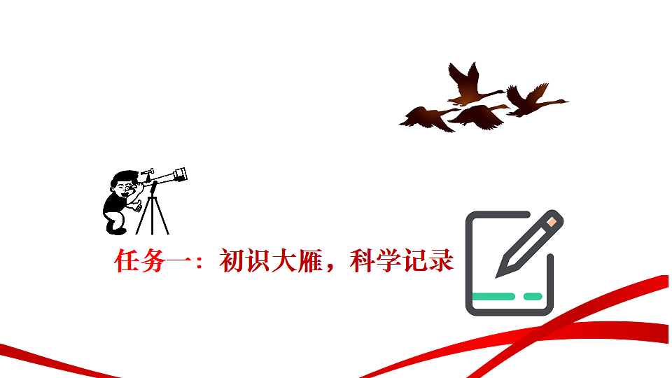 18346617第8页