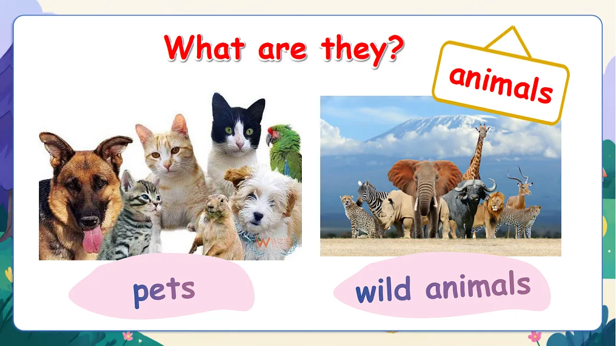 (新教材)人教版PEP英语三上Unit 3 《Our animals friends》 PB Let's talk 课件第7页