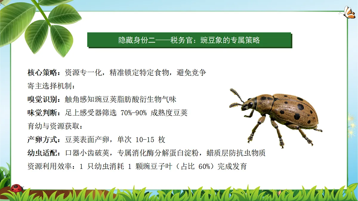 18349593第6页