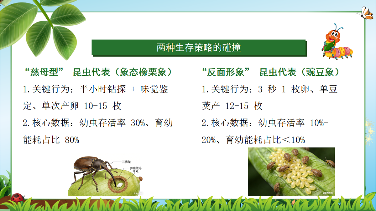 18349595第3页