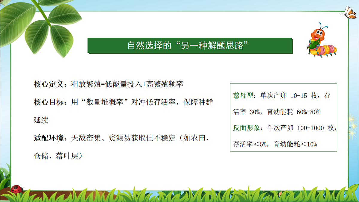 18349595第4页
