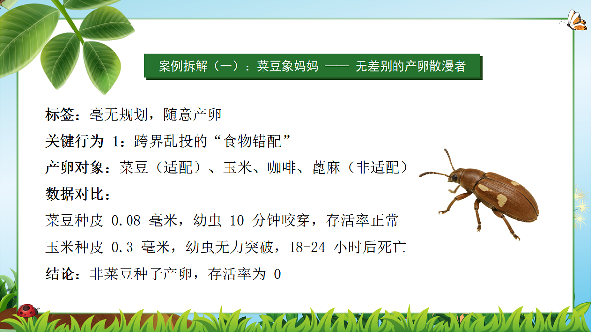 18349595第7页