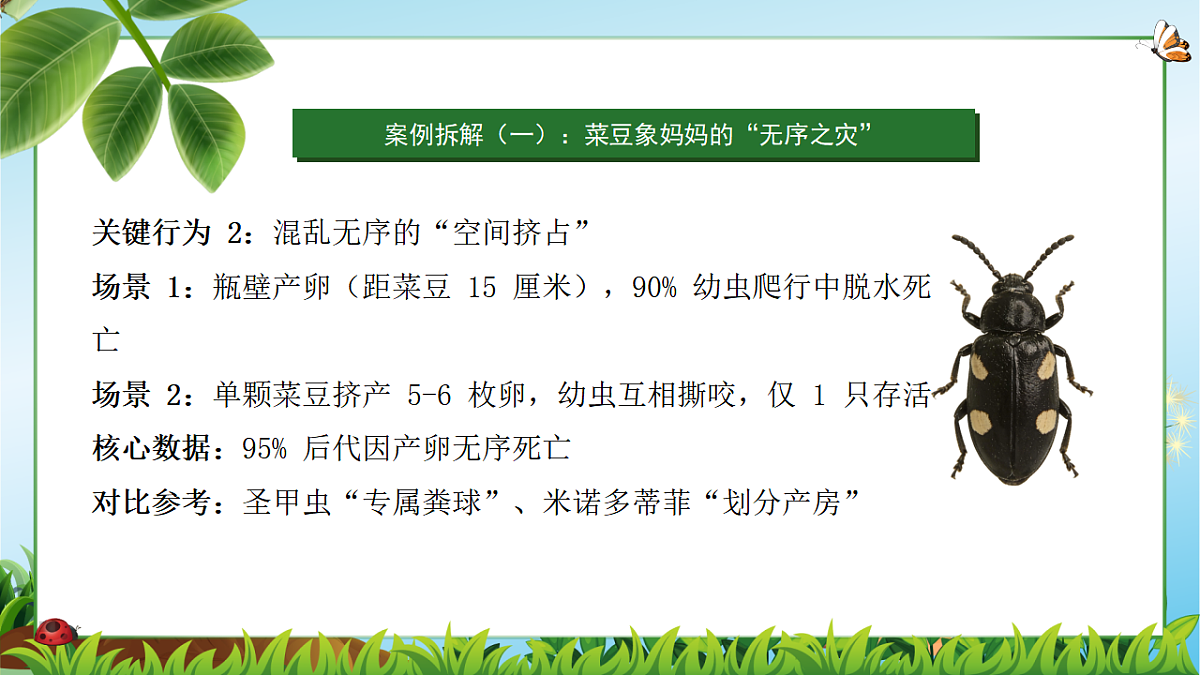 18349595第8页