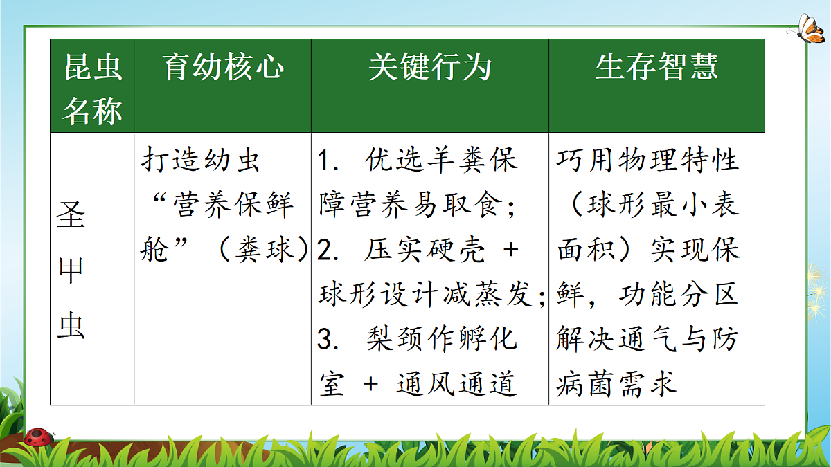 18349596第8页