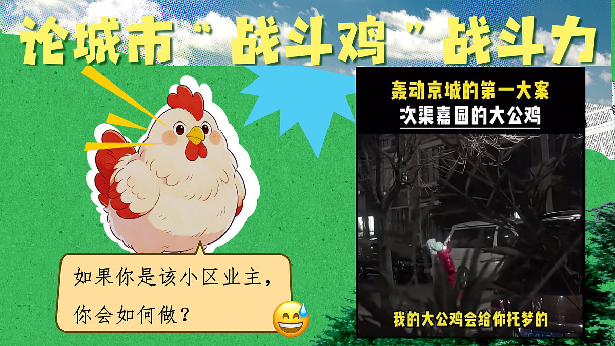 18349618第4页