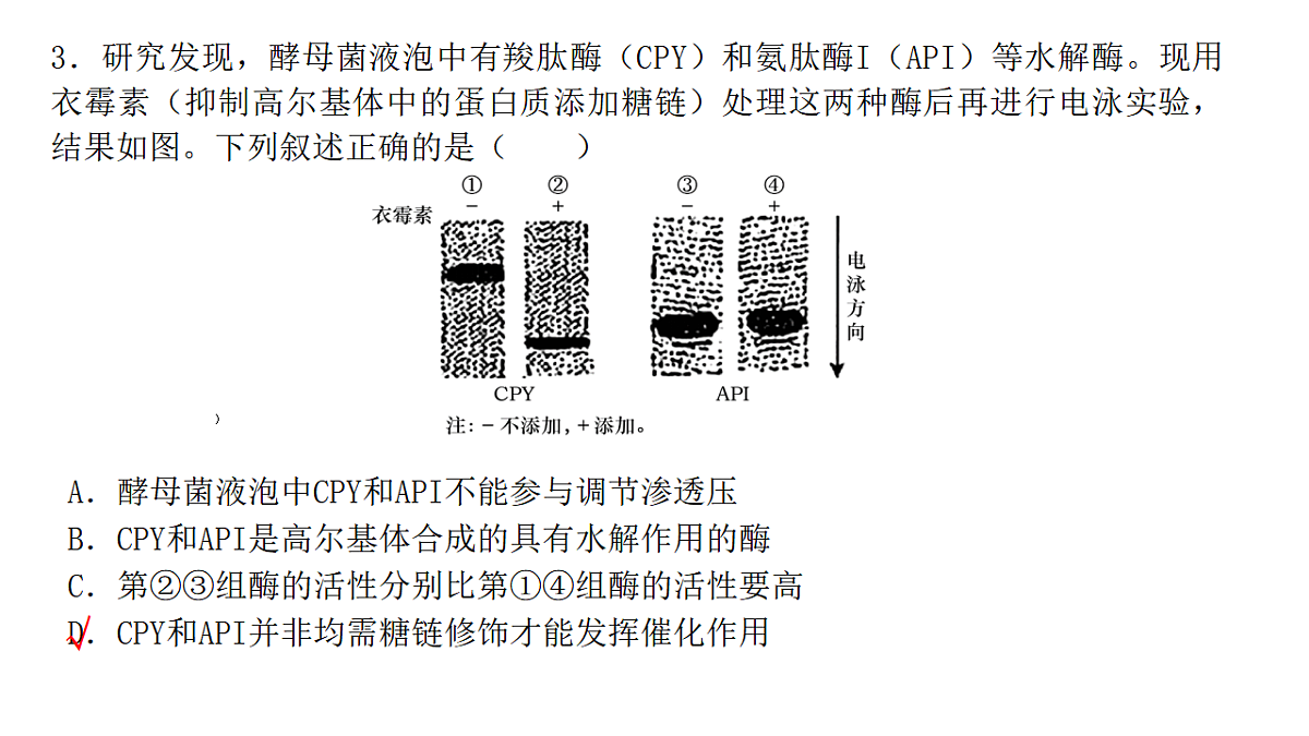 成都石室中学适应性考试(一)评讲PPT 生物第6页