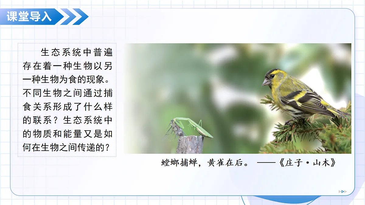 18352661第5页