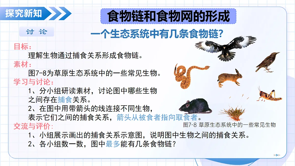 18352661第7页