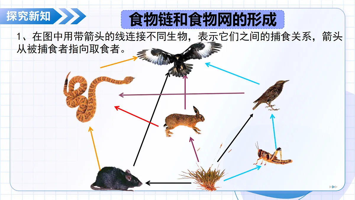 18352661第8页