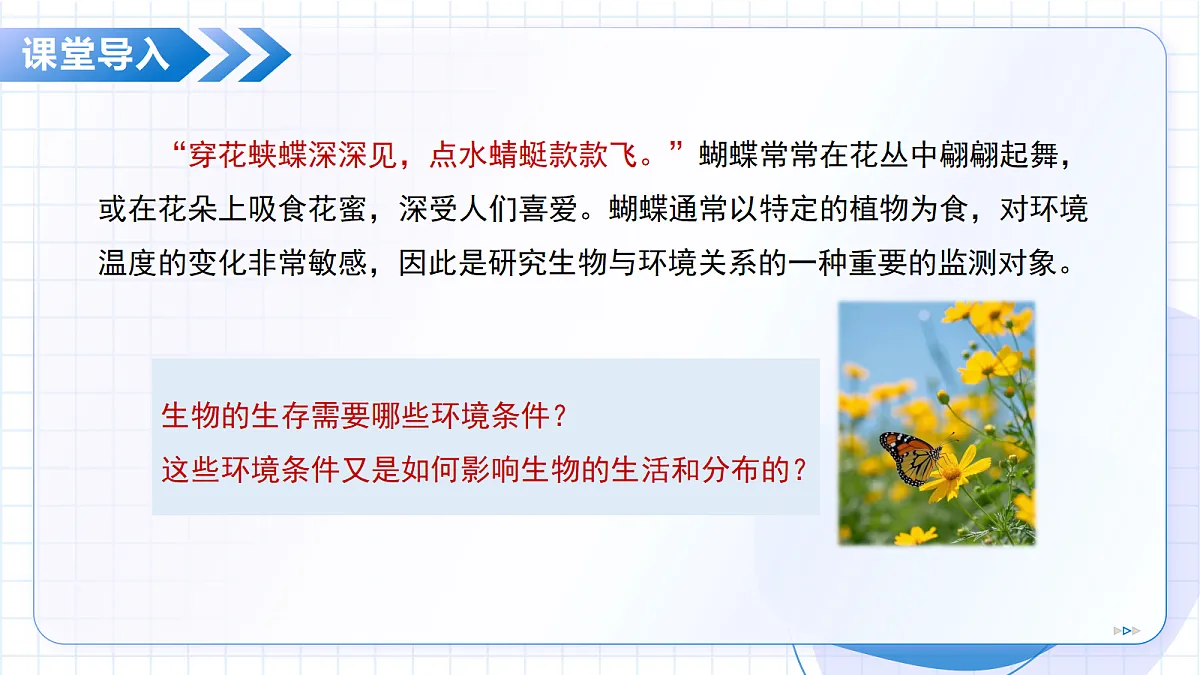 18352671第5页