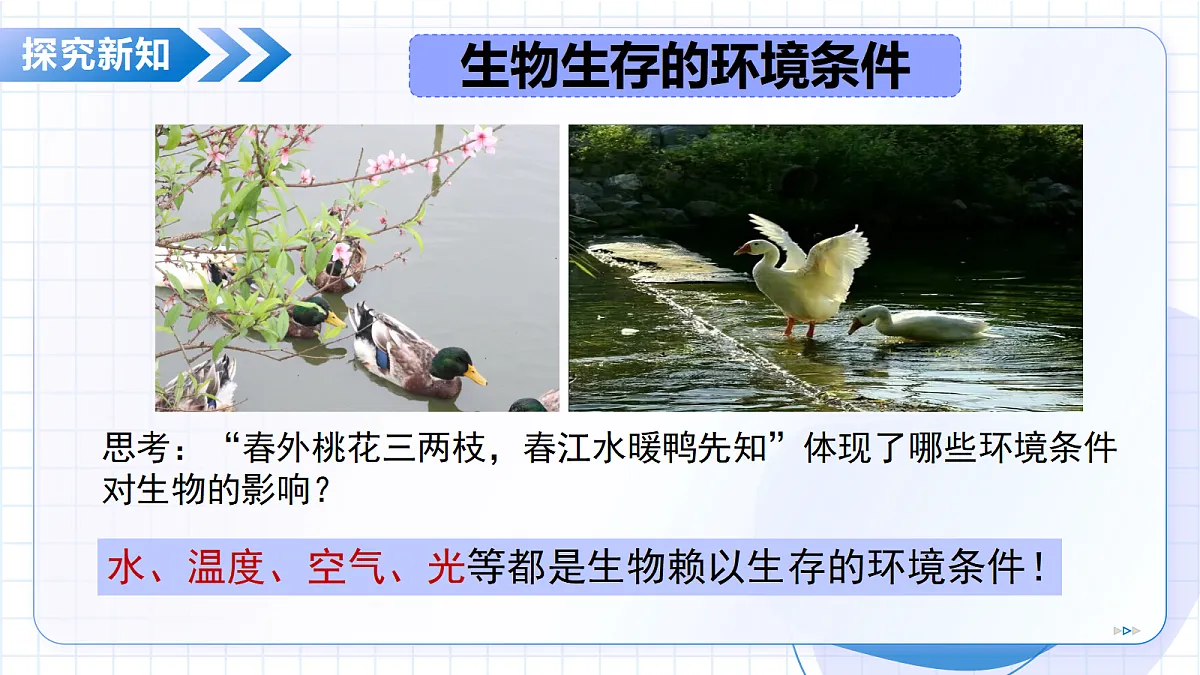 18352671第6页