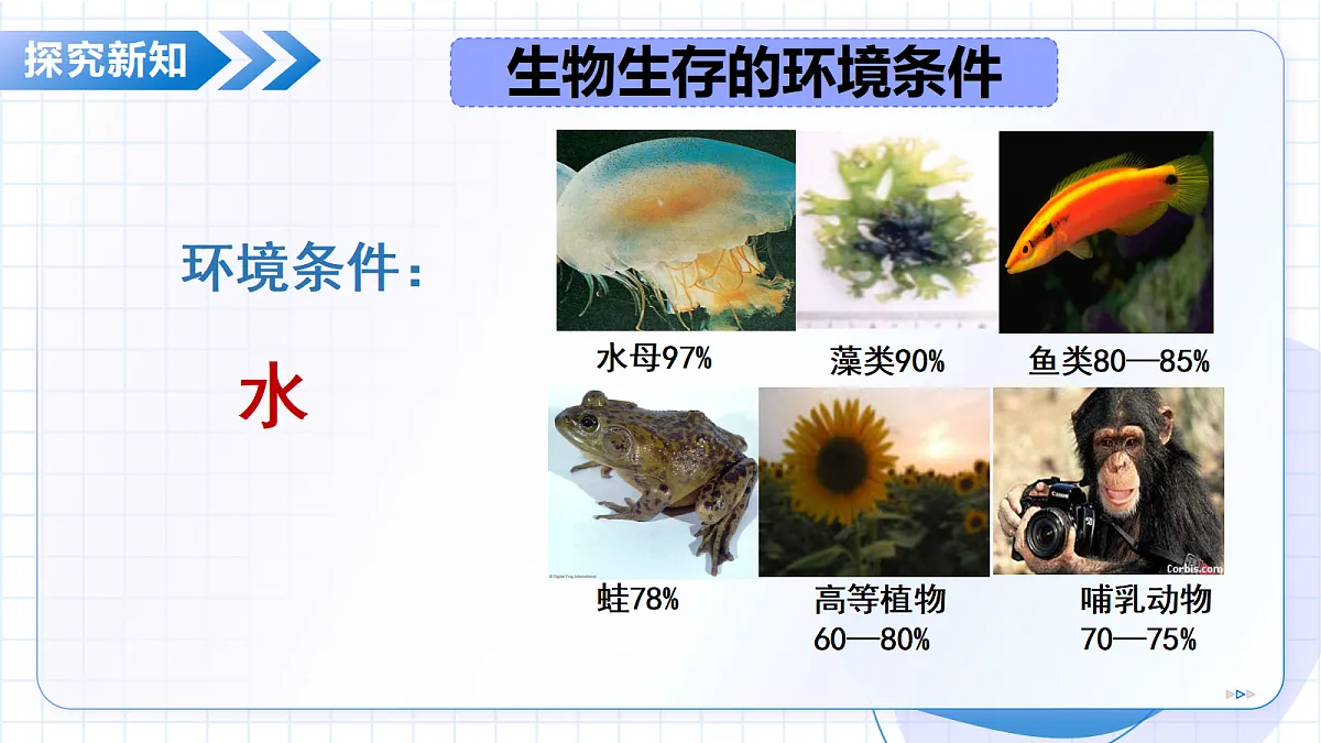 18352671第7页