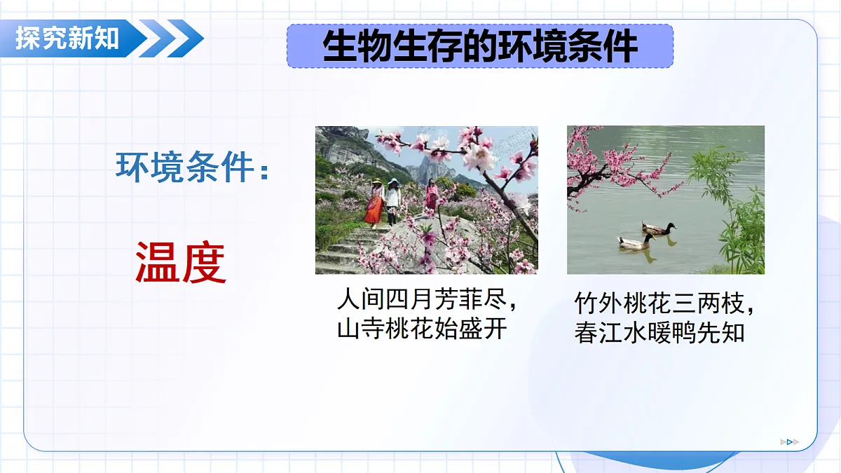 18352671第8页