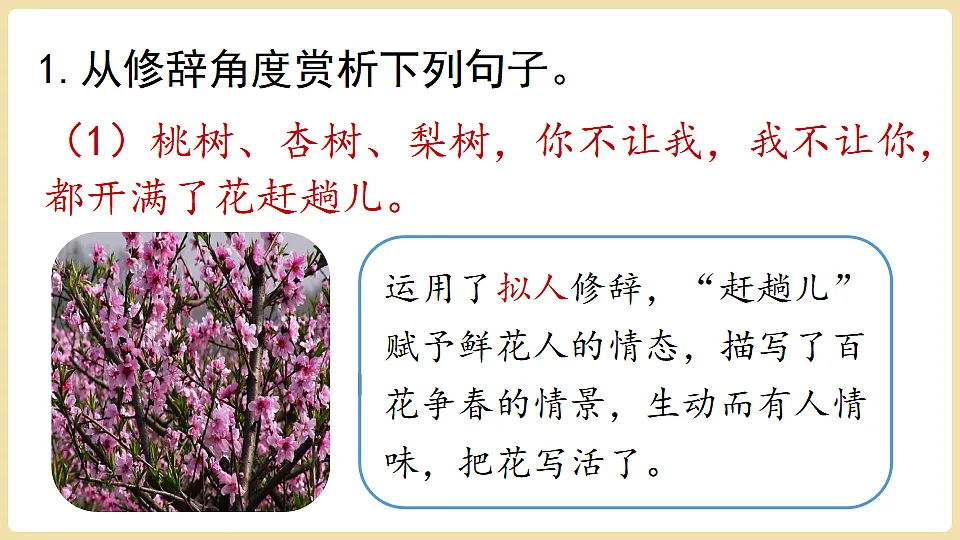 18352815第5页