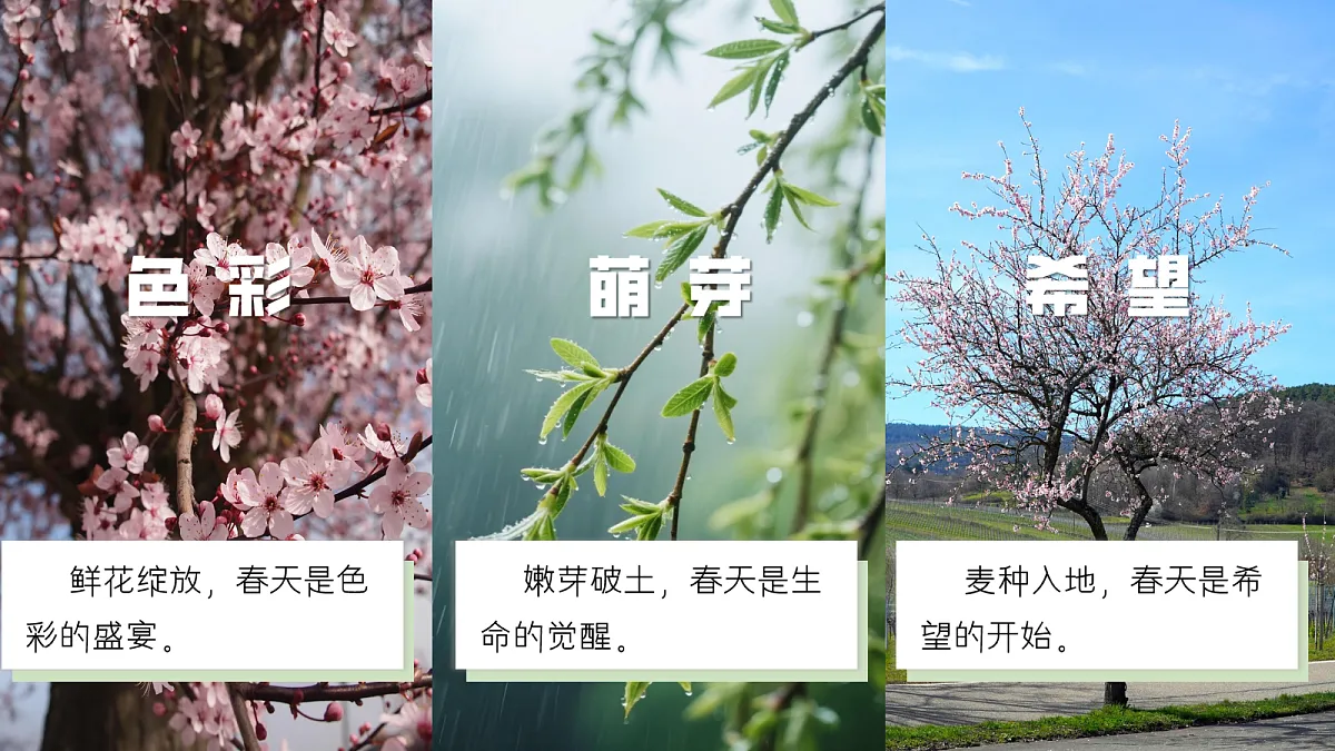 18352816第3页