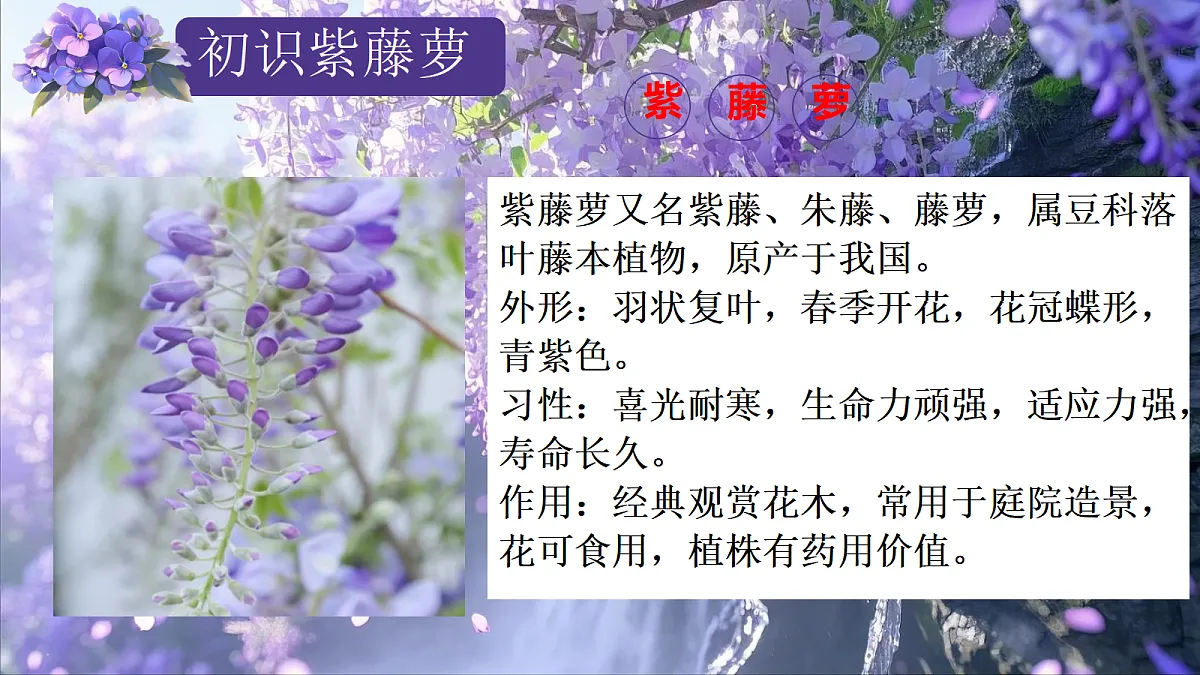 18352928第5页