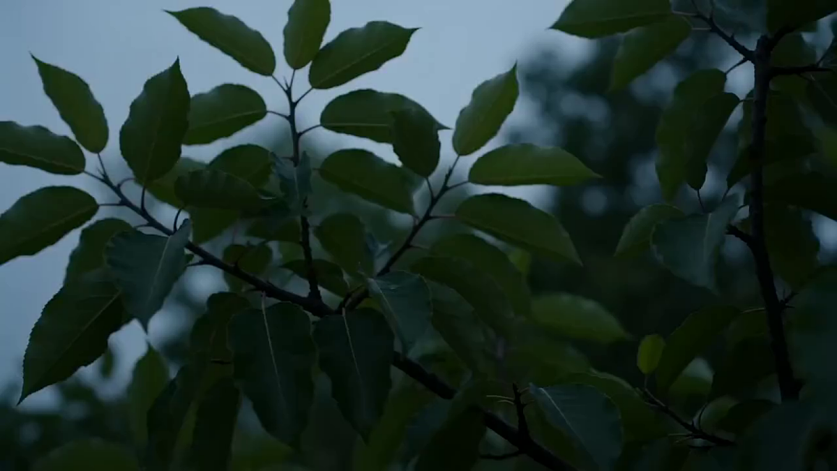 18353546第1页